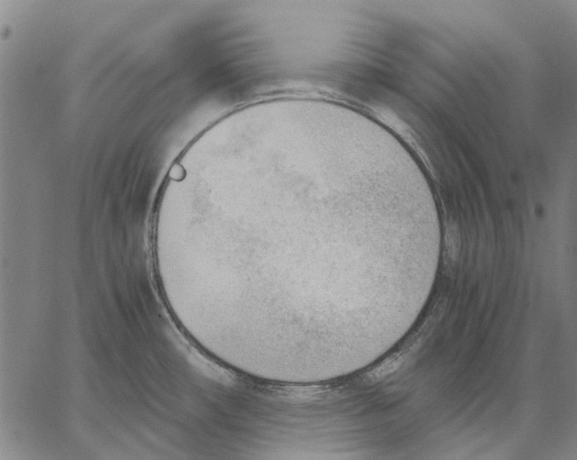 X0000062871482200602101639