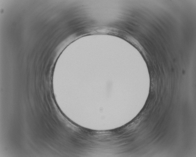 X0000062871483200602101639