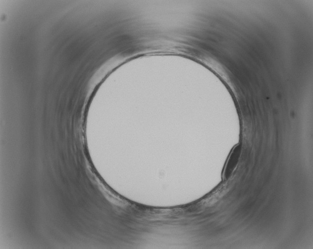 X0000062871485200602101639