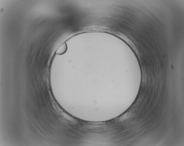 X0000062871486200602101639