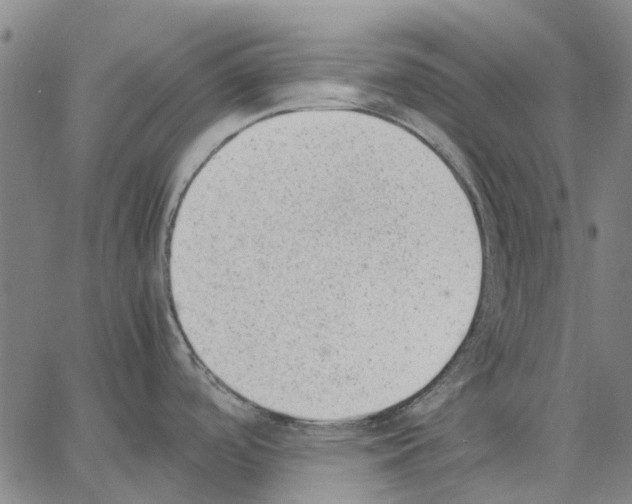 X0000062871488200602101639