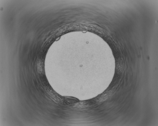 X0000062871490200602101638