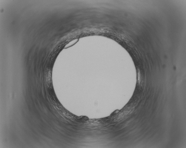 X0000062871492200602101638