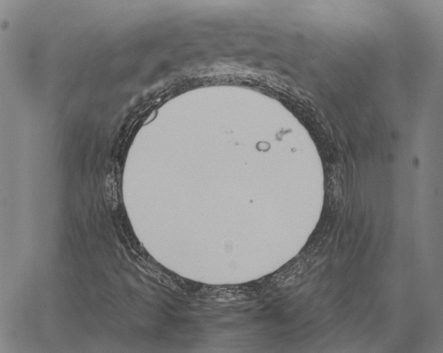 X0000062871493200602101638