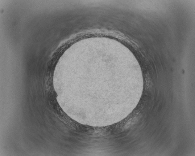 X0000062871494200602101638