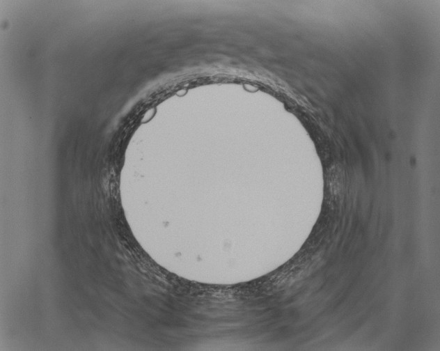 X0000062871495200602101638