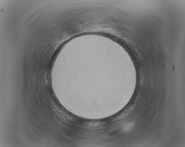 X0000062871497200602101638