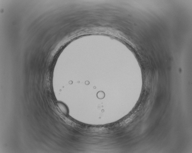 X0000062871498200602101638