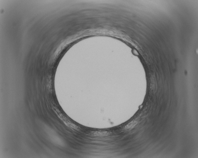 X0000062871499200602101638