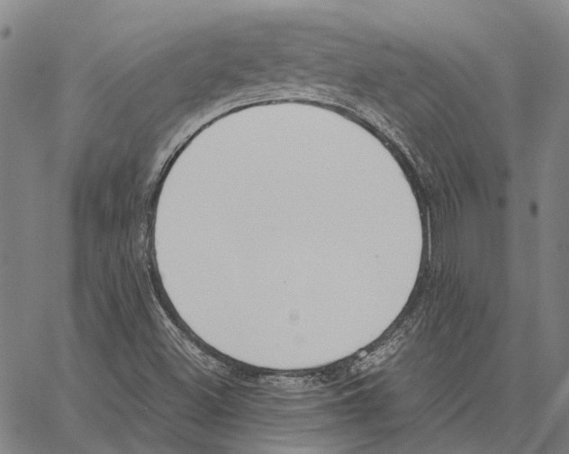 X0000062871500200602101638