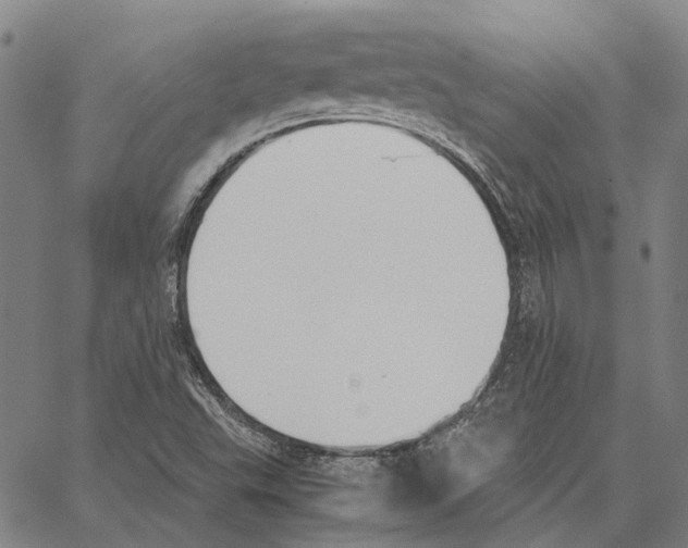 X0000062871503200602101638