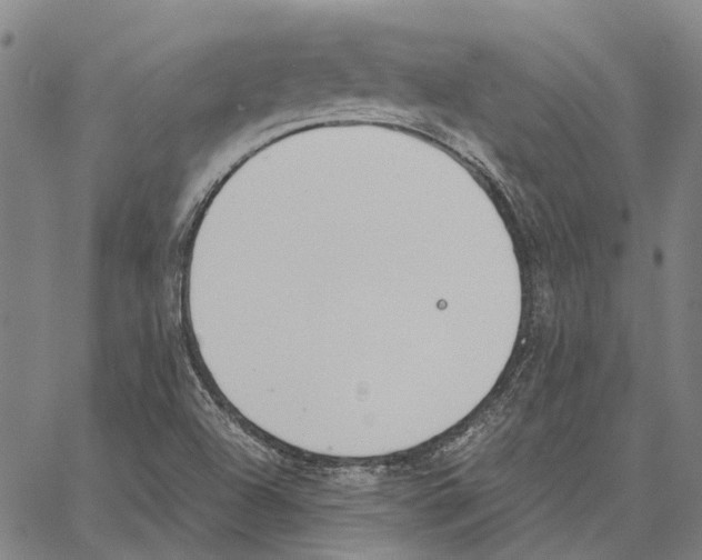 X0000062871504200602101638