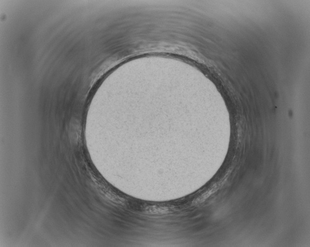 X0000062871505200602101638