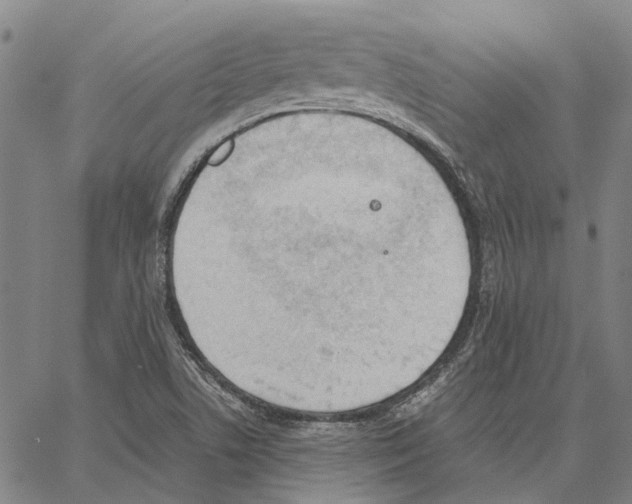 X0000062871506200602101638