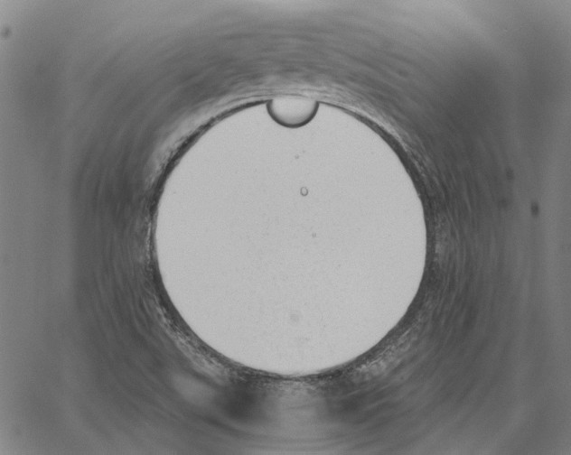 X0000062871507200602101638