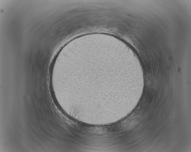 X0000062871508200602101638