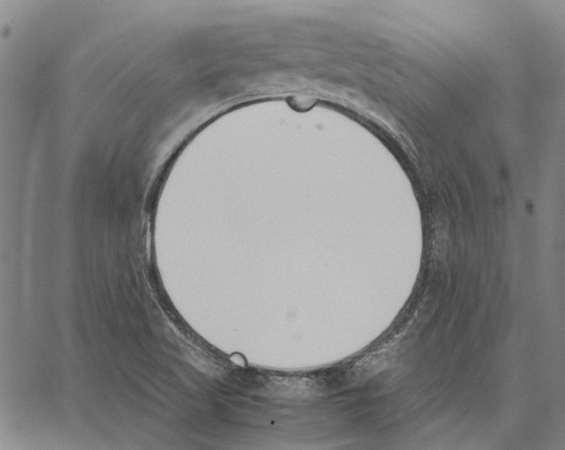 X0000062871509200602101638