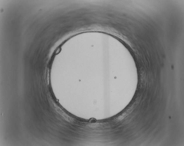 X0000062871510200602101639