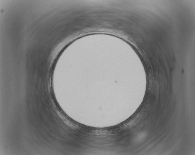 X0000062871511200602101639