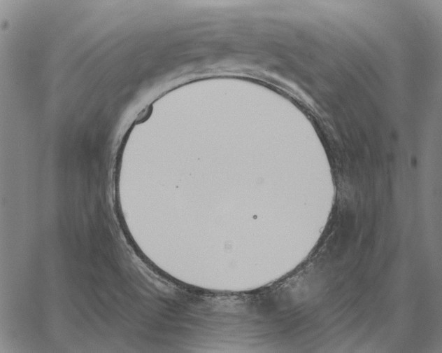 X0000062871512200602101639