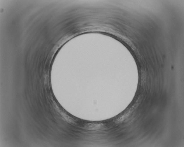 X0000062871513200602101639