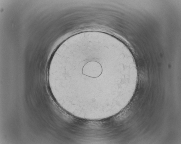 X0000062871514200602101639