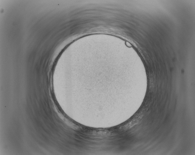 X0000062871515200602101639