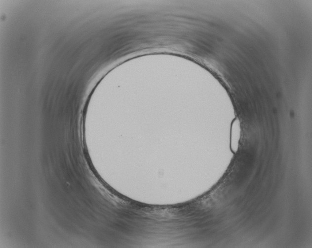 X0000062871516200602101639