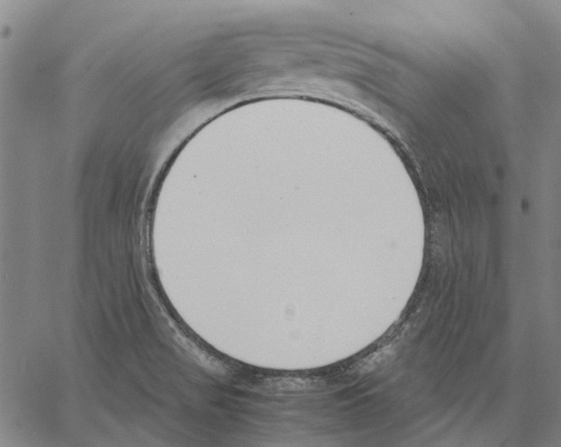 X0000062871517200602101639