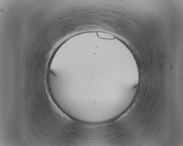 X0000062871518200602101639