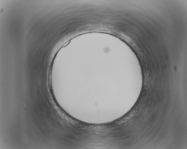 X0000062871520200602101639