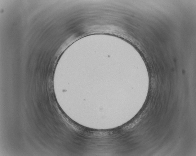 X0000062871521200602101639