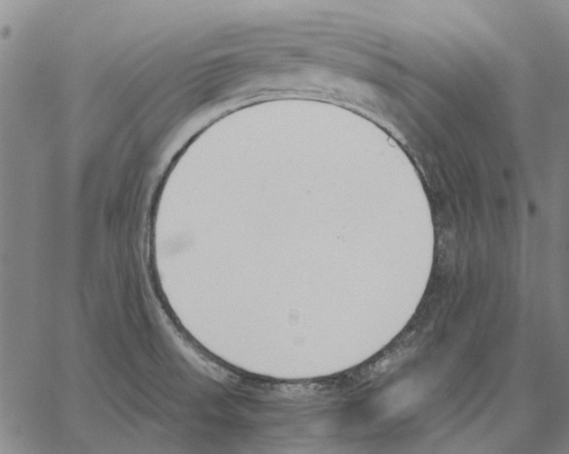 X0000062871523200602101639