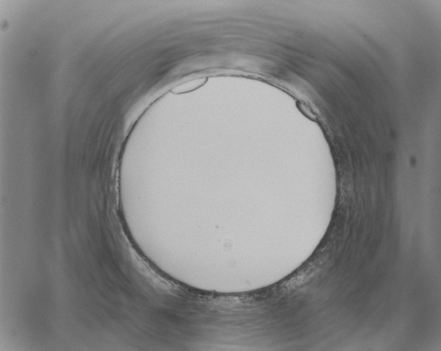 X0000062871524200602101639