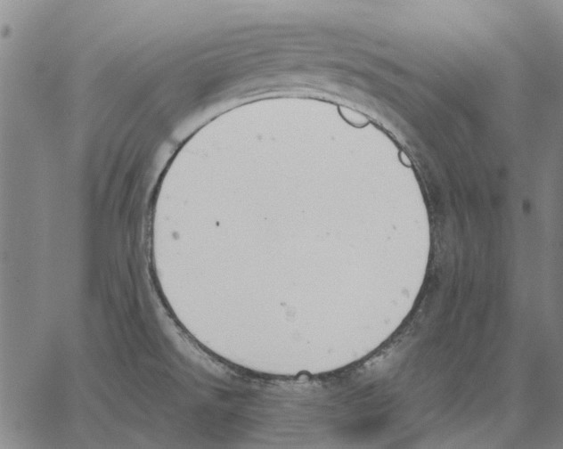 X0000062871526200602101639