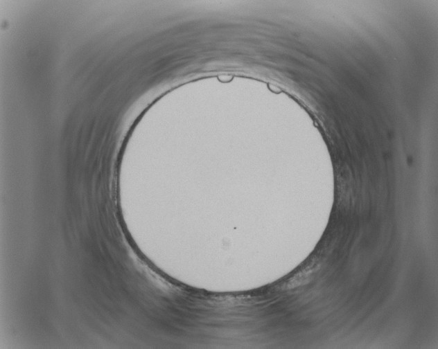 X0000062871527200602101639