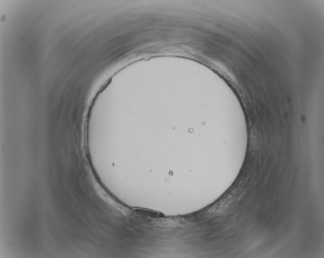 X0000062871528200602101639