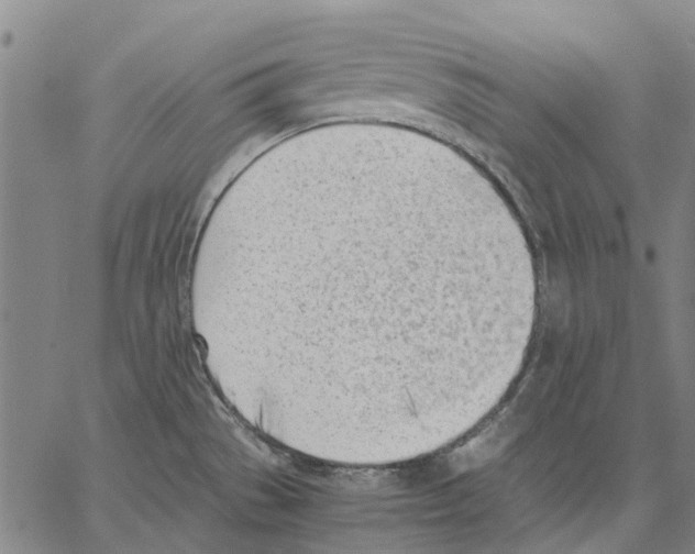 X0000062871529200602101639