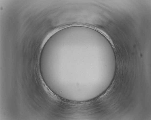 X0000062871530200602101639