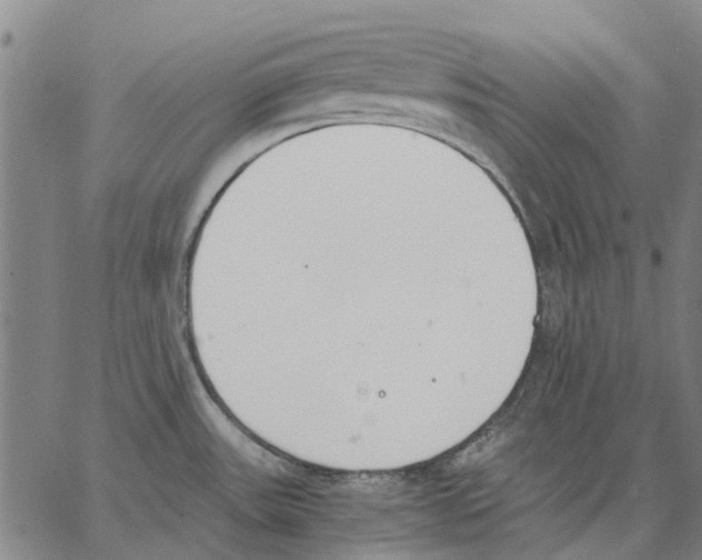 X0000062871531200602101639