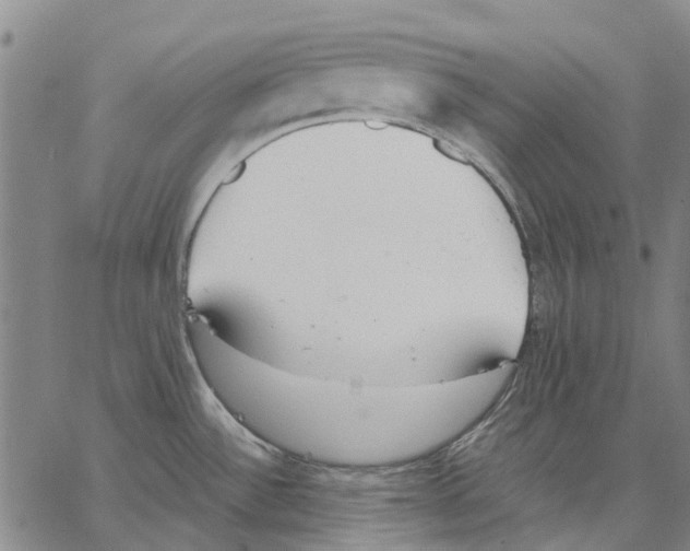 X0000062871532200602101639