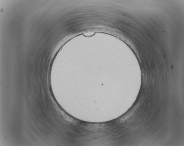 X0000062871533200602101639