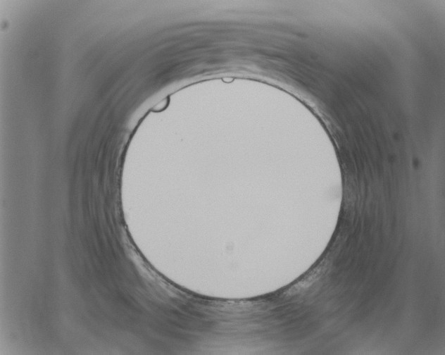 X0000062871534200602101639