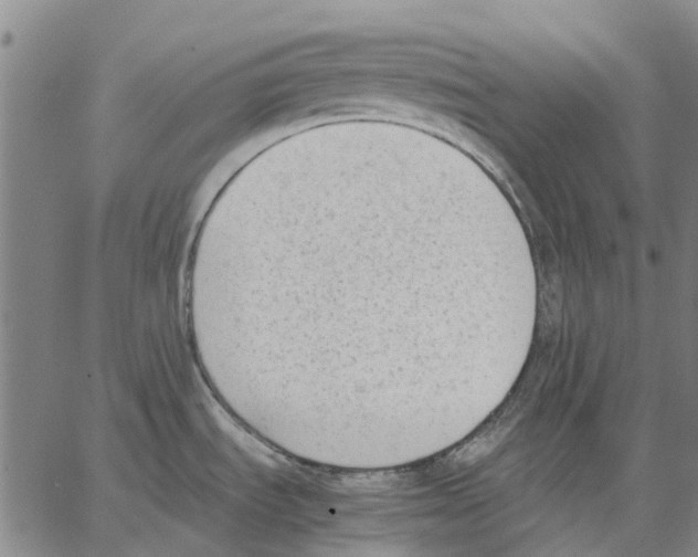 X0000062871535200602101639