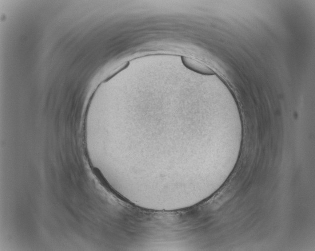 X0000062871536200602101639