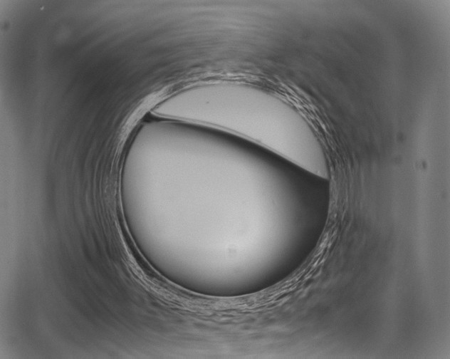 X0000062880003200601131049