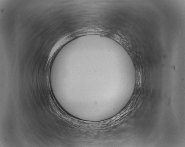 X0000062880004200601131049
