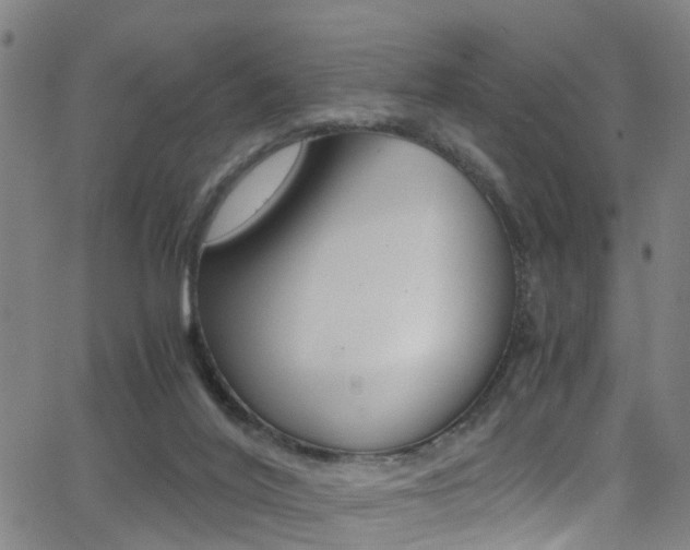 X0000062880020200601131048