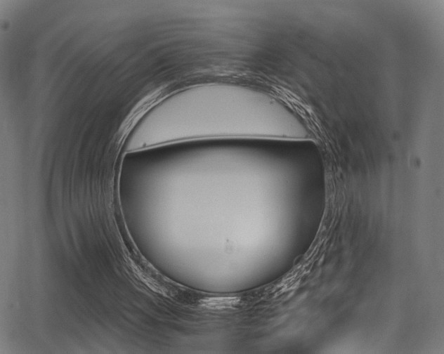 X0000062880051200601131047