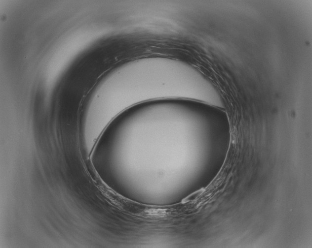 X0000062880052200601131047